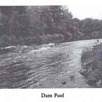          Dam Pool on the Dennys River; Reproduced from 