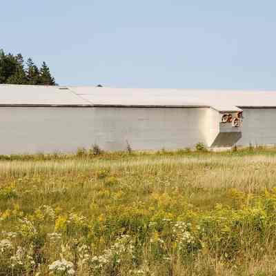 Seavey's Chicken Barn, The Lane, Dennysville: Now used for storage, the is long metal barn once housed thousands of laying hens.