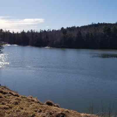Mill Pond created by Crane's Brook at Tide Mill Farm in Edmunds, Maine