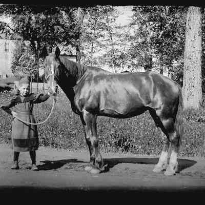 Grace Allan with her horse, in front the Riverside Inn on Water Street, in Dennysville, Maine.: Young Grace Allan poses with her pony, "Joe" for photographer John P. Sheahan. When a spring flood washed out the Upper Bridge over the Dennys River, the Eastport Sentinel reported "Miss Grace Allan, … kindly, courteously and expertly provided transportation with her dog cart and gentle bay pony, ‘Joe,’ to those who would otherwise could not travel the longer route around the Lower Bridge to the reach the post office and the stores."