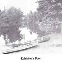          Robinson's Pool; Image from 