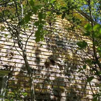 East Ridge School House, Cathance Township, Maine: Spring sunshine illumines what was once a grammar school on the East Ridge Road.