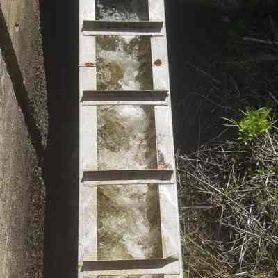 Great Works Wildlife Management Area and Fishway