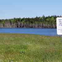 Tidal Marsh at Little Falls