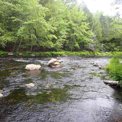 Ayer's Rips on the Dennys River