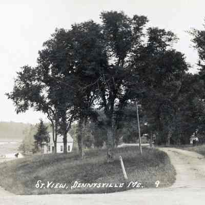 Street view of Store Hill, Dennysville, Maine, ca. 1890.: This picture was taken from the top of Store Hill (Water Street)  looking south.  The drive on the right is at the Mill House and the road on the left leads down to the Lincoln saw mills and the upper bridge and river beyond.