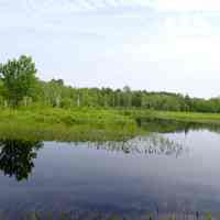 Confluence of Dead Stream and the Dennys River, Cooper, Maine