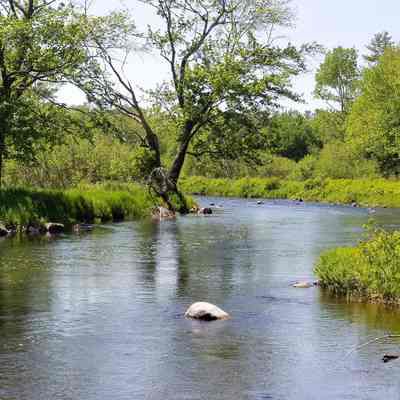 Community Pool on the Dennys River in 2023.