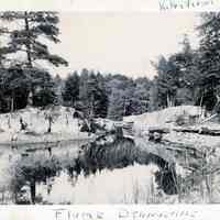 Flume on the Dennys River, Maine