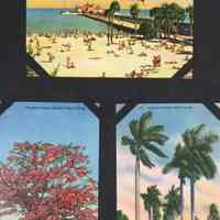          Sample postcards, Florida
   