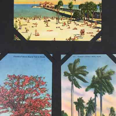 Sample postcards, Florida