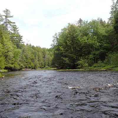 Camp Rips are a stretch of of Class I-II rapids before the river passes Robinson's Cottages.