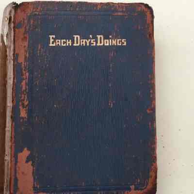 Each Day's Doings: A Girl's Diary