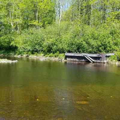 Salmon Weir Site on the Dennys River