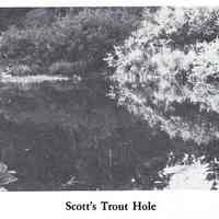 Scotts Trout Hole on the Dennys River