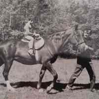 Horse Rides for Sunday School Children