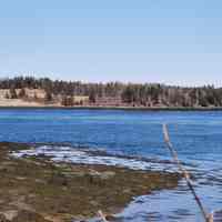          Mahar's Point, Pembroke, Maine; View of the field where Edmund Mahar settled in the 1770's on the end of Leighton's Neck, where the waters of Dennys River flow into Cobscook Bay through the Reversing Falls.
   