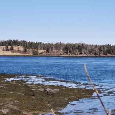 Mahar's Point, Pembroke Maine