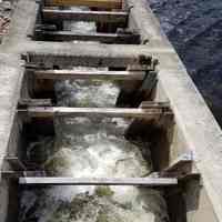 Dam and Fish Ladder on Meddybemps Lake, Maine.