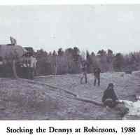          Salmon smolts are transferred into the Dennys River at Robinson's Cottages in 1988.; Image is reproduced from 
