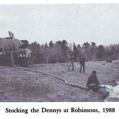 Salmon smolts are transferred into the Dennys River at Robinson's Cottages in 1988.: Image is reproduced from "Salmon on the Dennys, 1786-1988" by Ed Bartlett and Ray Robinson.