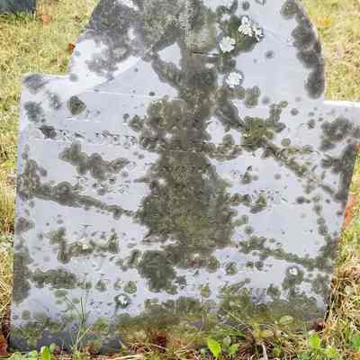 Gravestone of Deborah Reynolds and infant daughter, 1834, Dennysville Cemetery: The inscription reads: "In memory of Mrs. Deborah Reynolds, consort of Bela R. Reynolds, who died Jan. 26, 1834, aged 29 years; and her infant daughter aged 18 days
