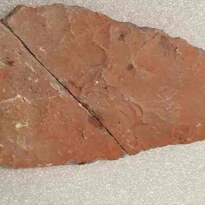 Red Jasper Blade, Dennysville, Maine, back: Image by Colin J Windhorst from the collection of the Peabody Museum of Archaeology and Ethnology, Harvard University, 22-51-10/A5469.