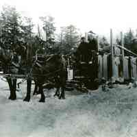          Higgins Brothers Water Cart, c. 1922; Water Cart drawn by blue roans, driven by Ralph Hobart with unidentified helper, sprinkled water to ice the logging rods and create a smooth surface for the teams hauling wood.
   