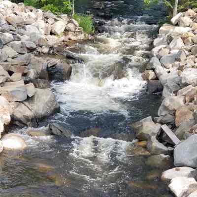 Dam site on the Dennys River in Meddybemps, Maine: Location of the dam which operated Tarbell's' Mills and later Harry Smiths electrical power plant, on the Dennys River in Meddybemps, Maine.