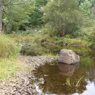 Mouth of Cathance Stream on the Dennys River, September 2022