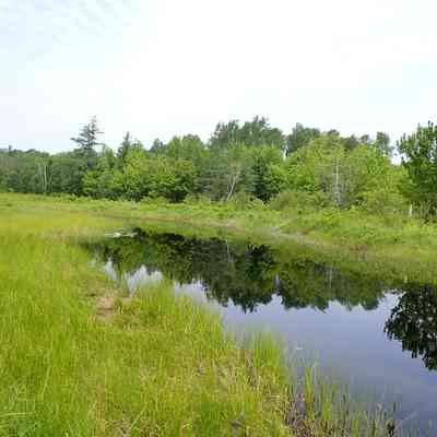 Dead Stream flowing into the Dennys River from Cooper, Maine
