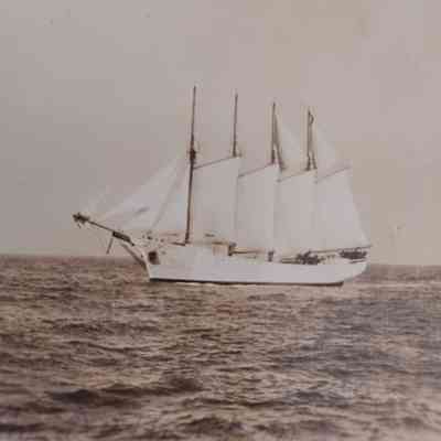 The Netherton, built in 1919 at the Pushee shipyard: The Netherton was the result of rebuilding the Dornfontein, which was burned to the waterline by a German submarine in 1918 and then rebuilt as the Netherton