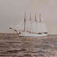          The Netherton, built in 1919 at the Pushee shipyard; The Netherton was the result of rebuilding the Dornfontein, which was burned to the waterline by a German submarine in 1918 and then rebuilt as the Netherton
   