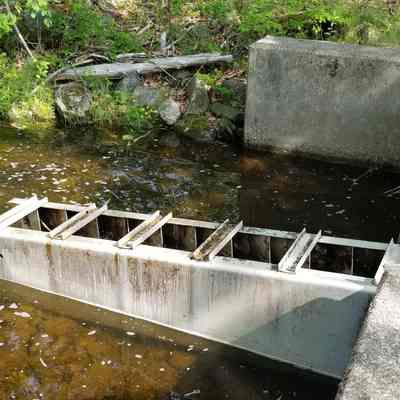 Fishway on the Canal Inlet Dam at Meddybemps Lake