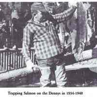 Trapping Salmon on the Dennys River, 1934-1940