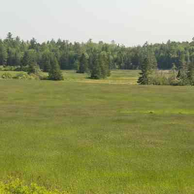 The Marsh on Hobart Stream, in Edmunds, Maine: The tidal marsh is visible beyond the edge of the field on Hobart Stream.  It was an important source of salt hay in the early days of settlement in the area.