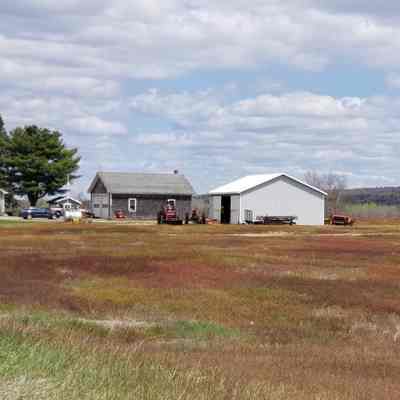 Meddybemps Farmhouses