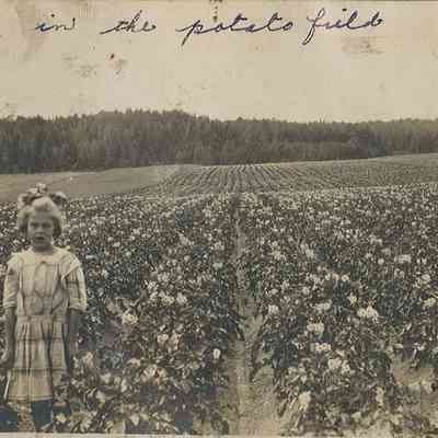 Nellie Lincoln in the potato field: Nellie Lincoln poses for her photograph in a field of newly cultivated potatoes at the Lincoln Farm in Dennysville, Maine. c. 1914.