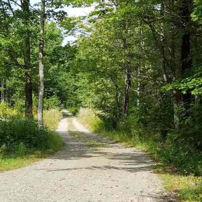 Marion Schoolhouse Site.: A schoolhouse was once located on the left hand side of this road as viewed from the Station Road in Marion in the 1860's.