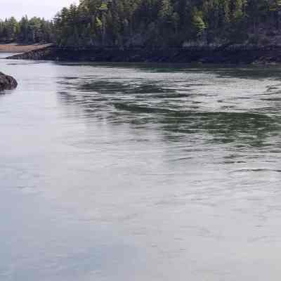 Tidal Flow through the the Reversing Falls, Cobscook Bay, Maine