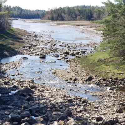 Head of Tide at Wilson's Stream, Lower Dennysville, Maine: Viewed from the bridge on U.S. Route 1, Wilson's stream, know here also as Hardscrabble River, wends it way toward the Dennys Bay.  The narrows visible in the distance were the site of several tide mills, the earliest know being that built by Robert Wilson around 1780.  The point on the right was the location of the Lyon's Brothers steam mill in the early 20th century.