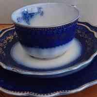 Blue Rose (Flow Blue) by Gridley