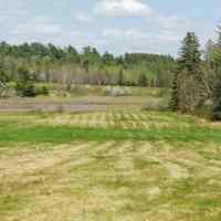 Cobscook Shores, Community Park, Dennysville, Maine