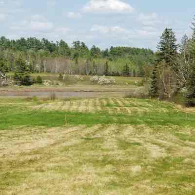 Cobscook Shores, Community Park, Dennysville, Maine