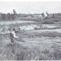          Fisher's Stump Pool on the Dennys River about 1940; Reproduced from 