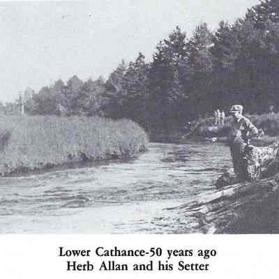 Lower Cathance Pool on the Dennys River