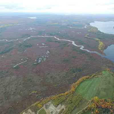 Heath around 15th and 16th Streams on Meddybemps Lake, Washington County, Maine