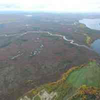          Heath around 15th and 16th Streams on Meddybemps Lake, Washington County, Maine
   