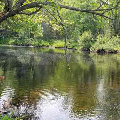 Dennys River below the T.W. Allan and Son mill seat on the Milwaukee Road, Dennysville, Maine