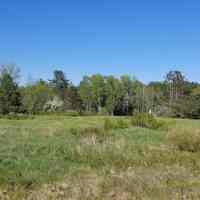 York Boarding Houses Site, Dennysville, Maine